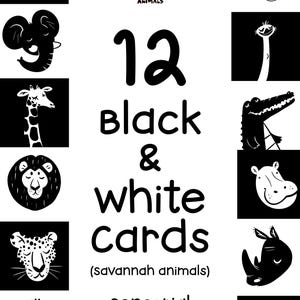 12 Black and White Infant Cards | Savannah Animals Edition | Sensory Play, High Contrast Cards | Newborn Visual Stimulation | Montessori