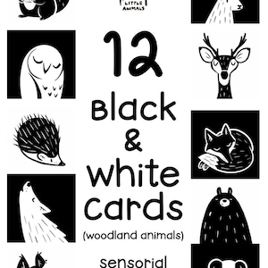 May include: A set of 12 black and white cards featuring woodland animals for sensorial play. The cards display illustrations of a squirrel, rabbit, owl, deer, hedgehog, fox, wolf, bear, and badger, with the text 12 Black & white cards.