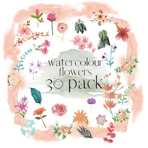 Watercolour Flowers, Flower Clipart Bundle, Watercolour Floral PNG, Flower PNG, Flower Clipart, Watercolour Flower Clipart, Clipart Bundle