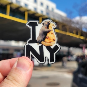 May include: A black and white enamel pin with the text "I NY". The "I" is black, and the "NY" is white. A gray squirrel is hugging a slice of pizza. The pin is held up in front of a blurred outdoor background.