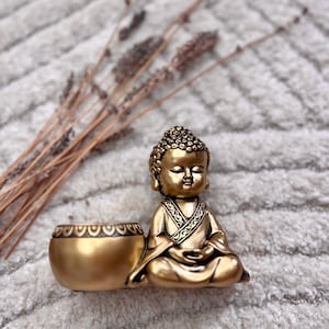 May include: A golden Buddha statue in a seated meditation pose, with a small bowl attached. The statue has intricate details and is set against a soft, textured background. Dried plants are in the background.