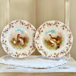 Pair of Antique C. T. Germany Game Bird Decorative Porcelain Plates, 8.25&quot;