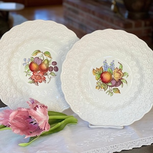 Pair of Vintage Spode Alden Luncheon Sized Plates with Fruit Centers and Daisy Embossed Rim, Vintage Copeland Spode Dishes, England
