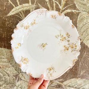 Antique French Porcelain Floral Serving Bowl by Charles Field, Haviland Limoges, CFH/GDM France