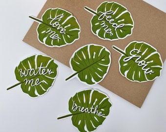 Monstera Plant Sticker | Monstera Leaf Sticker | Houseplant Sticker