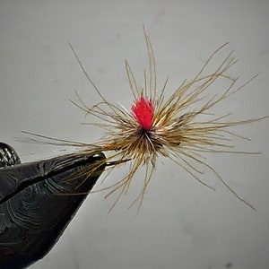 May include: A close-up of a fly fishing lure with a red and brown body and a long, thin tail.