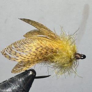 May include: A close-up of a yellow and brown fly fishing lure with a feathered body and wings.