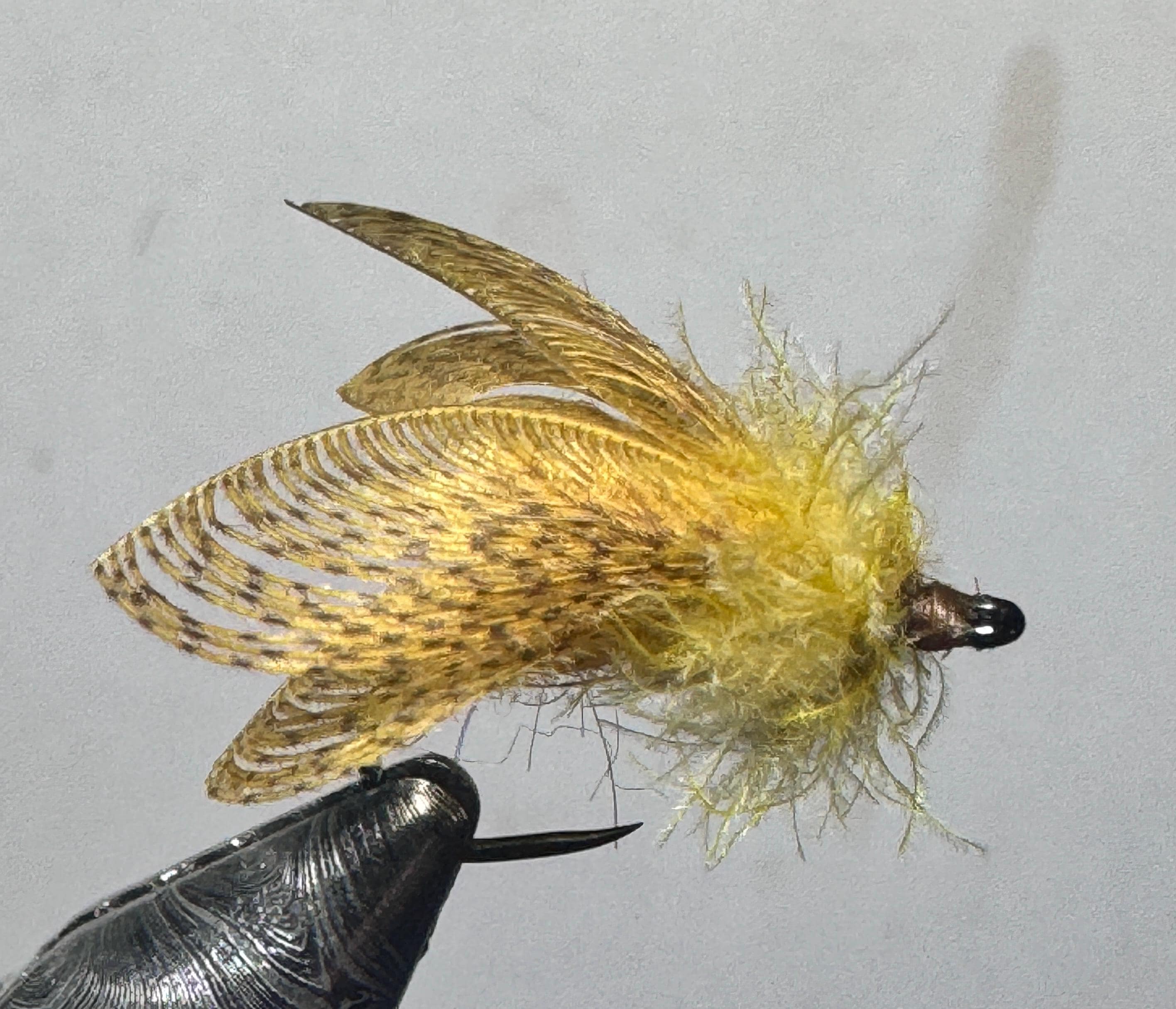 Six (6) Fluttering WW Caddis Dry Flies, Size 12, Free Shipping,