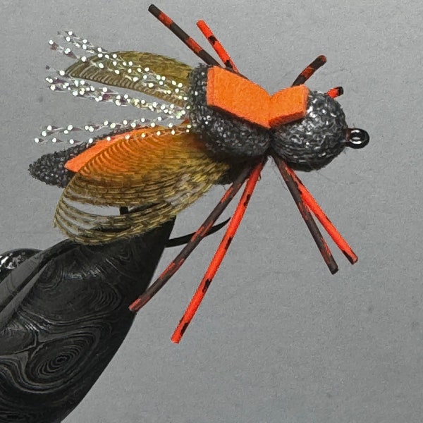 Six (6) - Cicada BOF Wally Wing Dry Flies, Size 8, Free Shipping