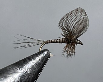 Six (6) Wally Wing G Dry Mayfles, Sizes 14, 16 & 18, 2 Each, Free Shipping