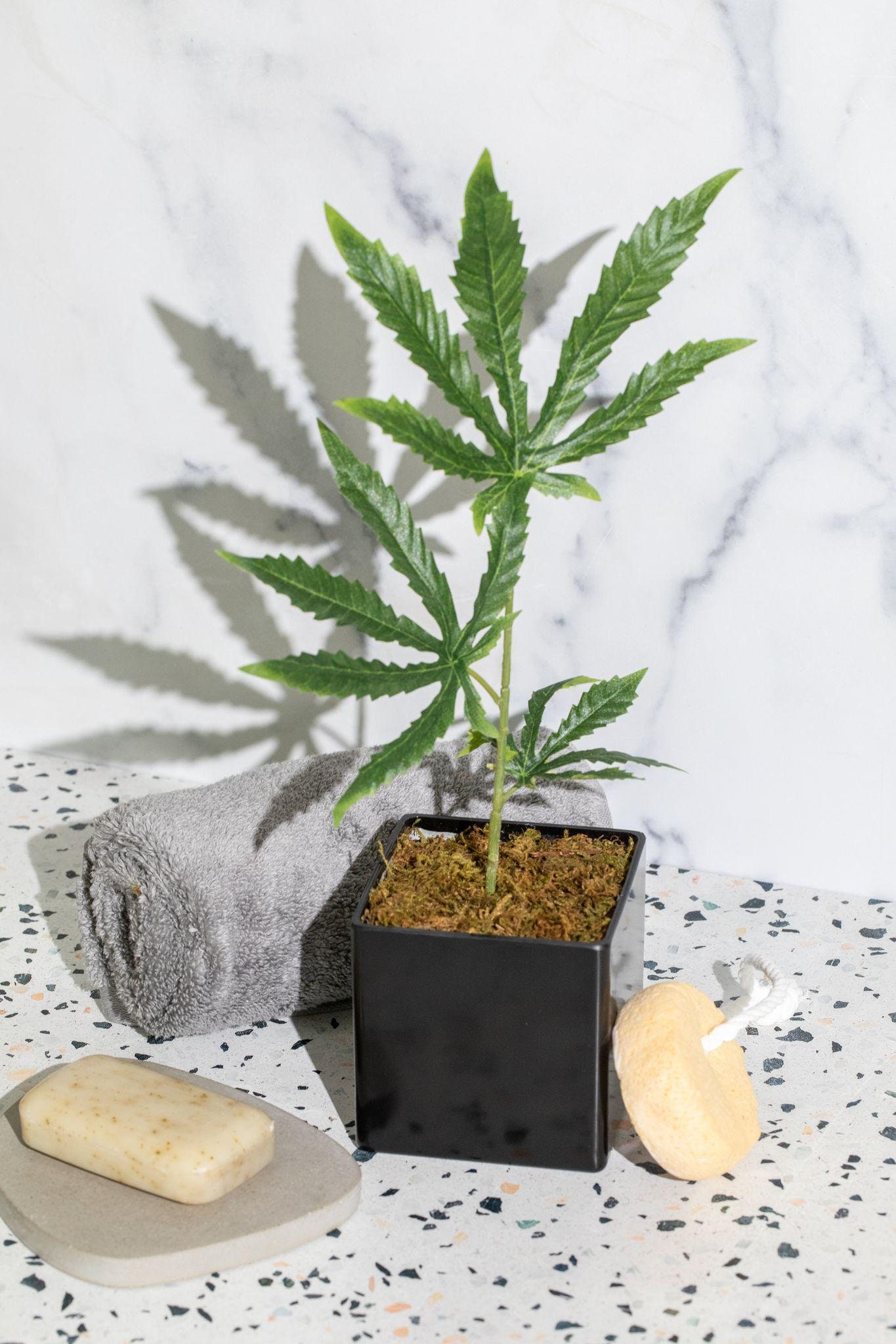 Fake cannabis plant - Etsy 日本 Fake cannabis plant - Etsy 日本