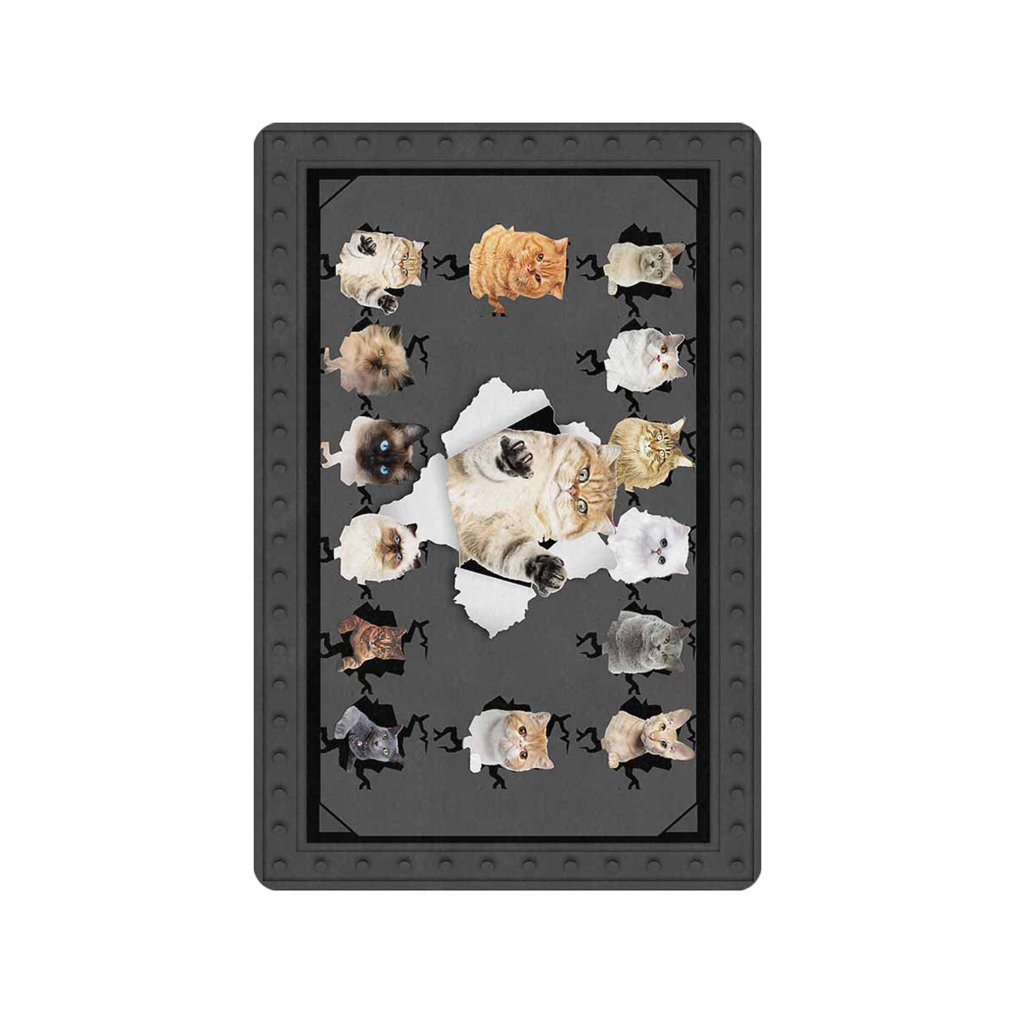 Custom Cat Photo Doormat Personalized Door Mat 24x16 Etsy