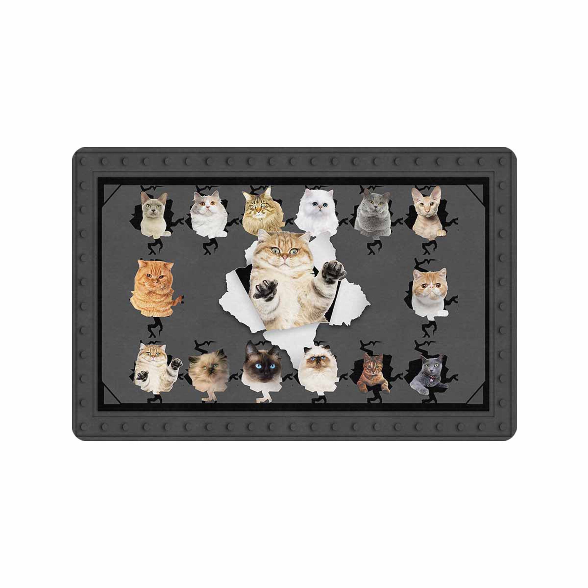 Custom Cat Photo Doormat Personalized Door Mat 24x16 Etsy