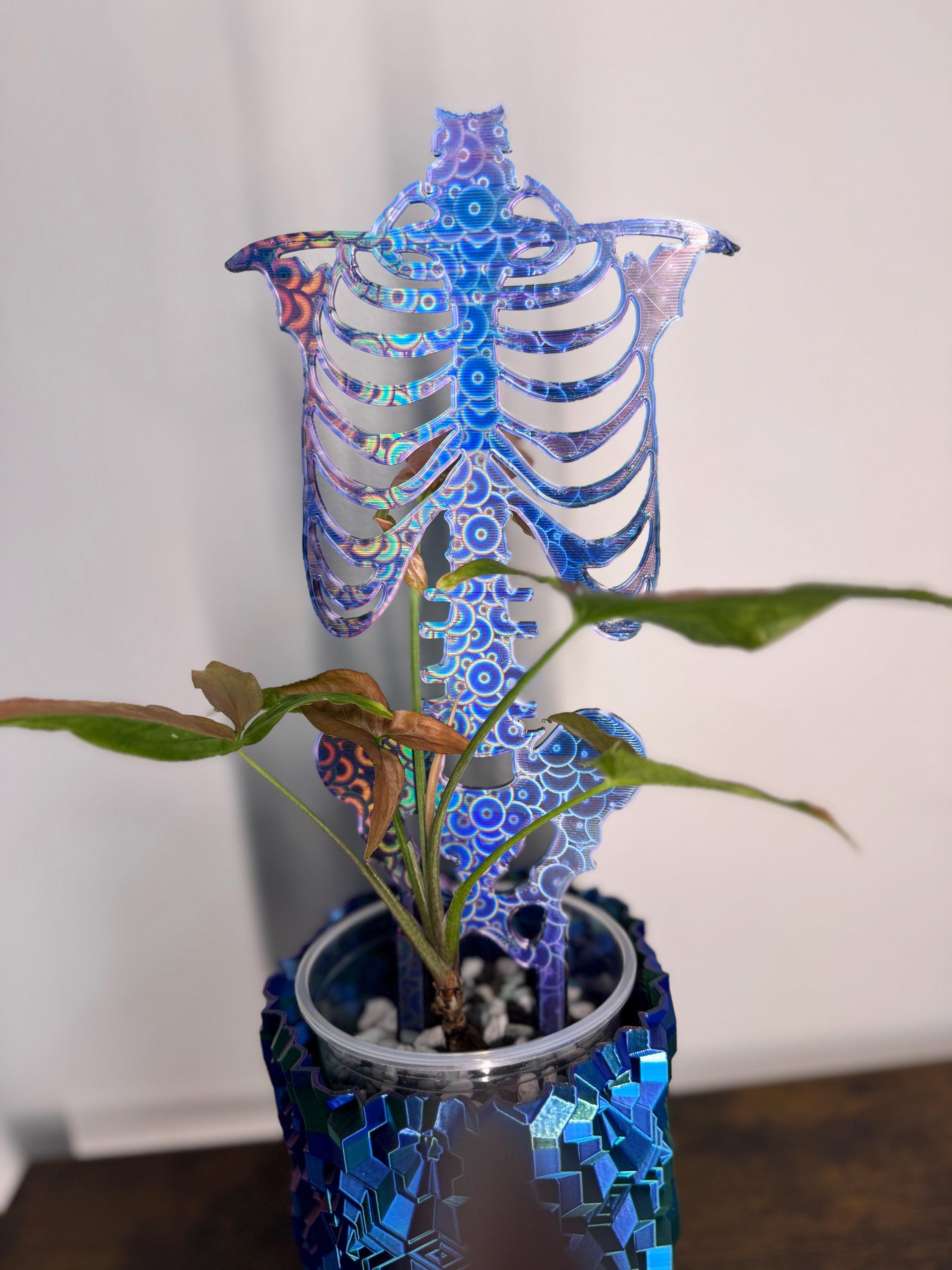 Treillis - Squelette holographique - Skelli Trelli