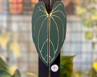 IKEA Milsbo Cabinet Handles - Anthurium Papillilaminum