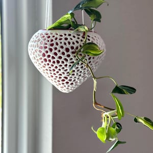 Hängande kruka - Trypophobia Berry