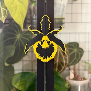 May include: A black and yellow orchid flower decoration. The orchid is black with yellow trim and is mounted on a black vertical support. The background includes green plants and a white grid.