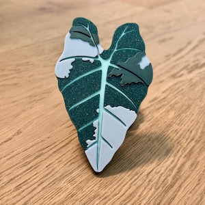 May include: A white and green leaf with a speckled texture. The leaf is shaped like a heart and has a white centre with green veins.