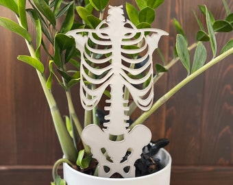 Trellis - Skeleton Large - LIMITED EDITION