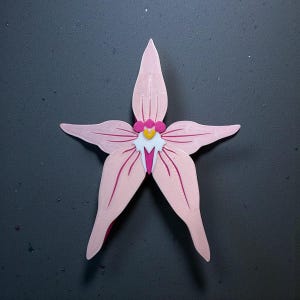Puede incluir: Una flor rosa claro de cinco pétalos, con vetas y detalles en rosa oscuro. La flor tiene un centro amarillo con detalles rosas y blancos. Los pétalos son alargados y puntiagudos, creando una forma de estrella. Probablemente un artículo decorativo.