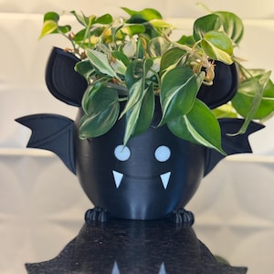 May include: A black bat-shaped planter with white eyes and fangs, holding a green and white variegated plant.