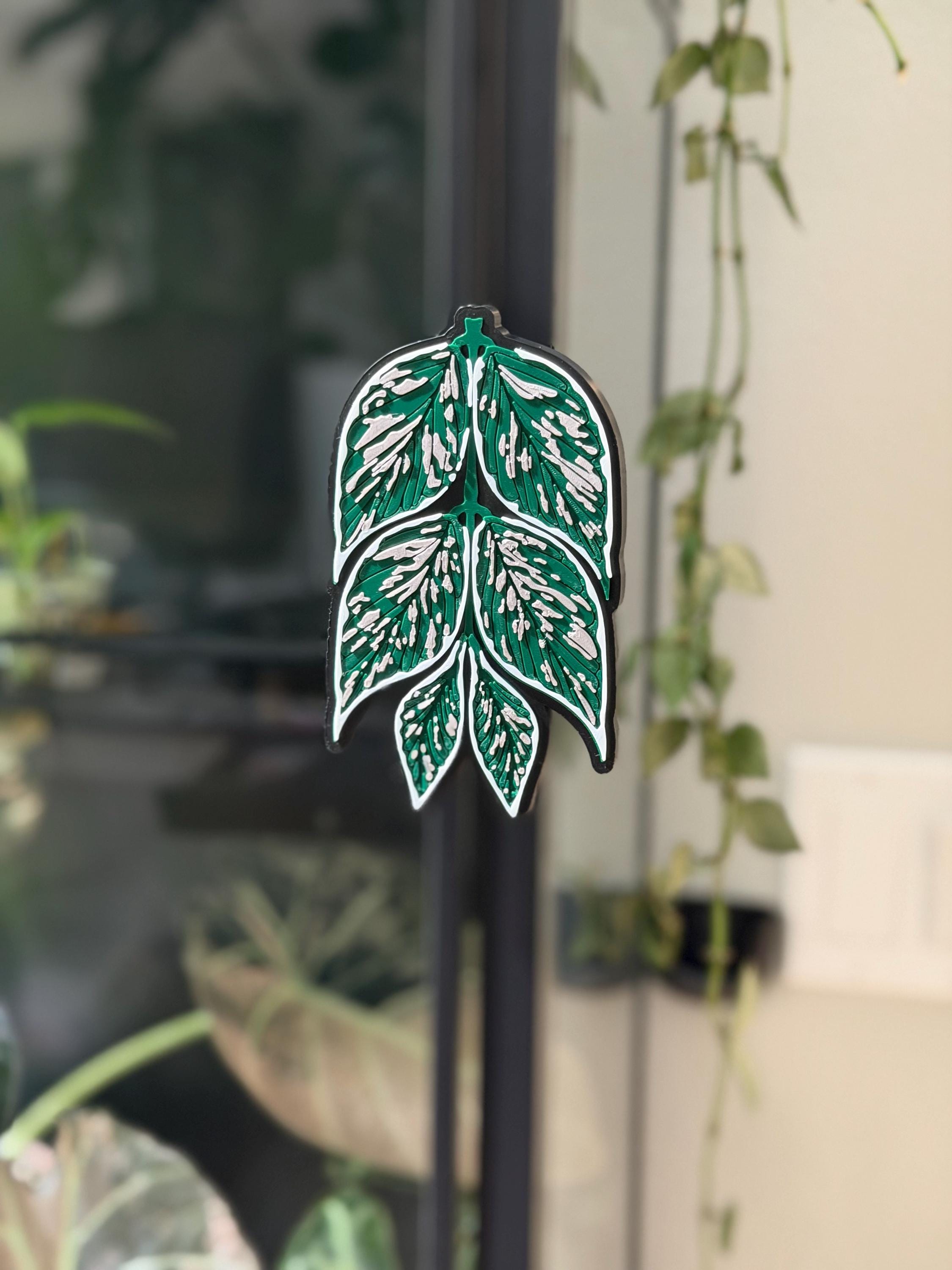 IKEA Rudsta Tall Cabinet Handle - Hoya Polyneura - Etsy