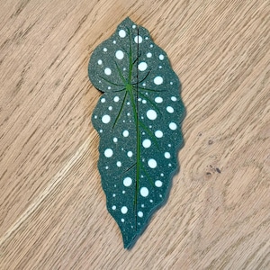 May include: A green leaf with white polka dots. The leaf is a cutout shape and has a green vein running down the center.