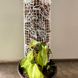 Puede incluir: Enrejado de planta de plástico blanco con un diseño de hojas. Una planta en maceta con hojas verdes y blancas está creciendo en el enrejado.