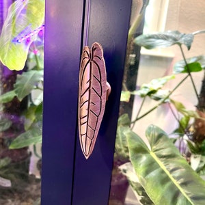 May include: A copper-colored leaf-shaped door handle on a dark blue cabinet door.