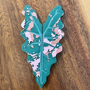 Puede incluir: Una hoja verde y rosa con un patrón moteado. La hoja está hecha de un material texturizado y tiene una superficie ligeramente elevada.