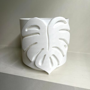 Standard kruka - Monstera