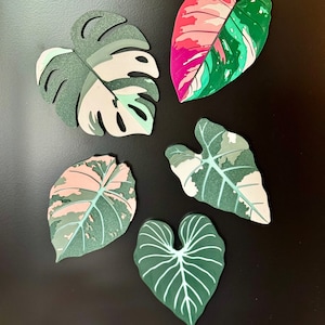 Könnte beinhalten: Fünf verschiedene wanddekorative Blattformen in verschiedenen Grüntönen, Rosa und Weiß. Die Blätter sind aus einem strukturierten Material gefertigt und haben ein realistisches Aussehen.