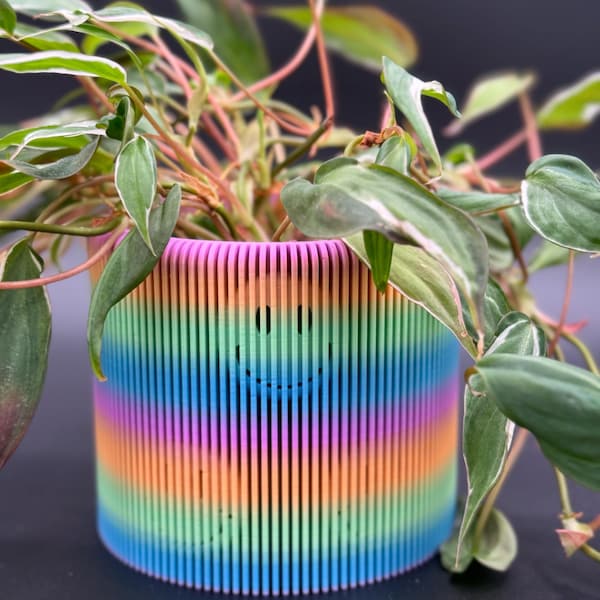 Illusion Smiley Planter
