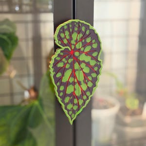 May include: A leaf-shaped magnet with a detailed design. The leaf features a dark purple background with green spots and red veins. The edges are outlined in bright green. The magnet is attached to a dark gray surface.