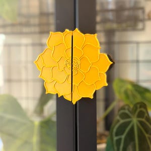 May include: A pair of bright yellow flower-shaped cabinet pulls. The pulls are mounted on a dark gray cabinet door. The flower design has multiple layers of petals and a detailed center. The background is blurred, with green plants visible.