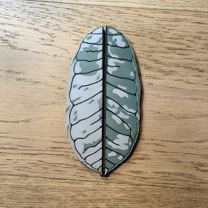 May include: A two-piece decorative object shaped like a single leaf, split vertically down the center. The leaf features a variegated pattern with shades of light gray, sage green, and dark green, defined by dark outlines and a textured surface.
