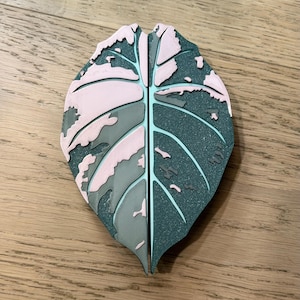 May include: A two-piece decorative object shaped like a split monstera leaf. The leaf features a variegated pattern with shades of dark green, light green, and pale pink. The surface has a textured, layered appearance with distinct veins and edges.