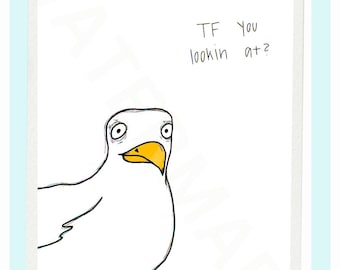 TF you looking at Seagull Print