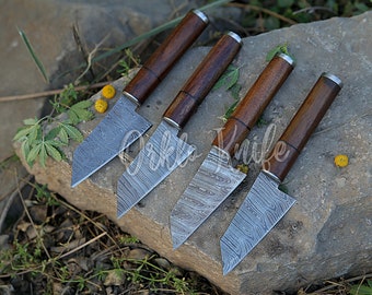 Ensemble de 4 couteaux à steak damas faits main avec manche en palissandre, cadeau d'anniversaire, couteau de cuisine, cadeau de garçon d'honneur, cadeau de fête des pères pour mari