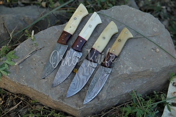 Handmade Damascus Chef Knife Set of 5 Pcs With Blue Dollar Handle Kitchen Knife  Set Beautiful Gift for Father Gift for Women Groomsmen Gift 