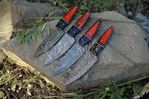 The Best Steak Knife Sets, Professional Chef-Approved 2023