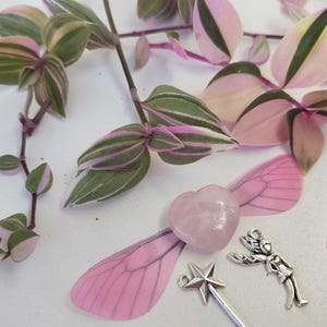 May include: Overhead shot of a trailing plant with green and pink striped leaves, and fairy-themed charms. A pink heart-shaped crystal, pink fairy wings, a star wand, and a fairy charm are also present.