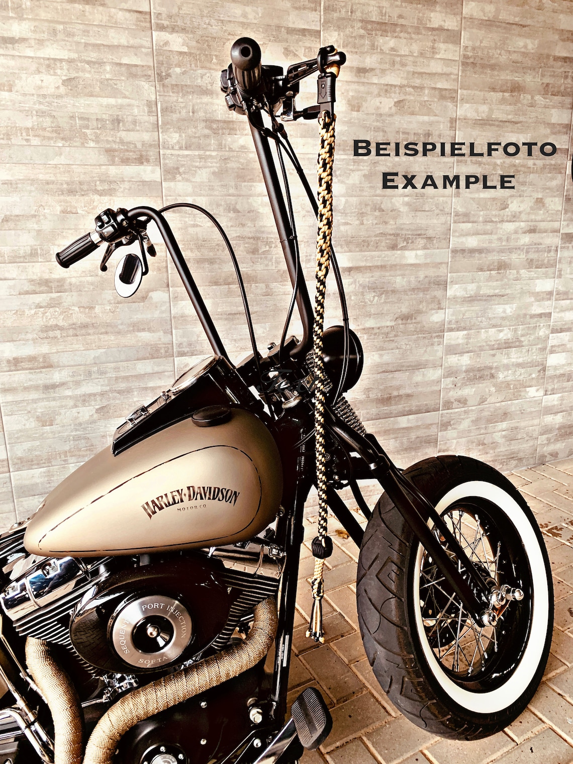 get back whip harley davidson