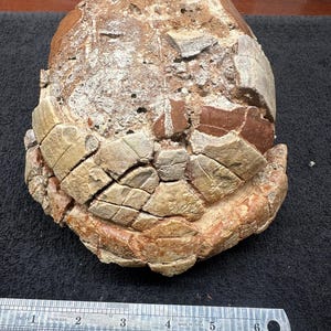 May include: A white ceramic mug with a black handle and the text "But First, Coffee" in a bold, black font. The mug is set against a blurred background, suggesting a cozy setting.