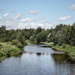 May include: A winding river flows through a lush green forest with a blue sky and white clouds above.