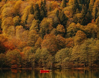 Barco de pesca en el lago Río en otoño Naranja Verde colorido Árboles Escena HD Art Deco Letra grande jpg A4 A3 Inicio Fotos de archivo Libre de derechos