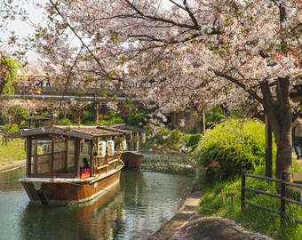 Crucero por el río japonés Old Boat Blossom Trees Calming Scene HD Art Deco Large print jpg A4 A3 Home Fotos de archivo Libres de derechos