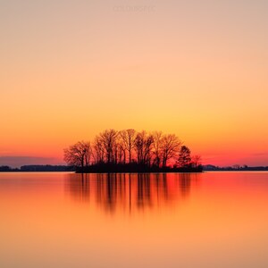 Può includere: Una piccola isola con un gruppo di alberi in silhouette contro un cielo di tramonto arancione e rosa vibrante, riflesso nell'acqua calma di un lago.