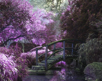 Purple Forest Bridge Two Tone Stream Scene HD Art Deco Large Print Jpg A4 A3 Home Stock Photos Royalty Free