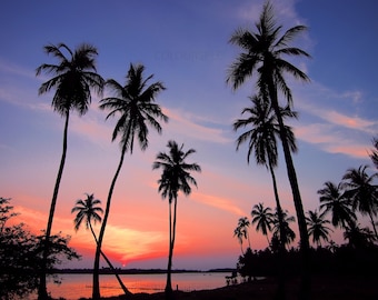 Palm Beach Sunset Pink Orange Purple Blue Sunrise Black Palm Trees Scene HD Art Deco Large Print jpg A4 A3 Home Imagenes en stock Libres de derechos